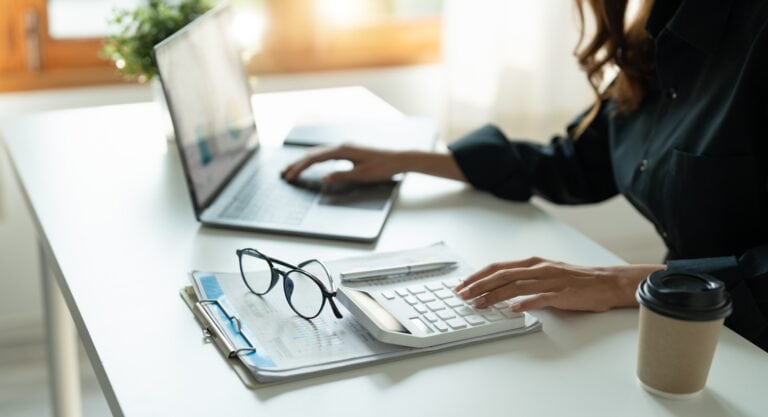accountant, Auditor, Self-Employed, Finance and Investment, tax calculation and budget, Asian